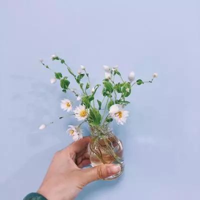 狗万官网下载手机版截图